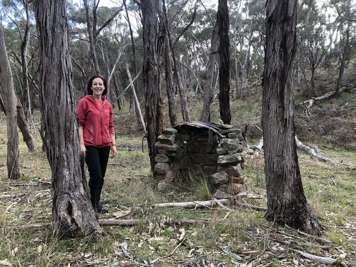 The little forest circuit hike 7