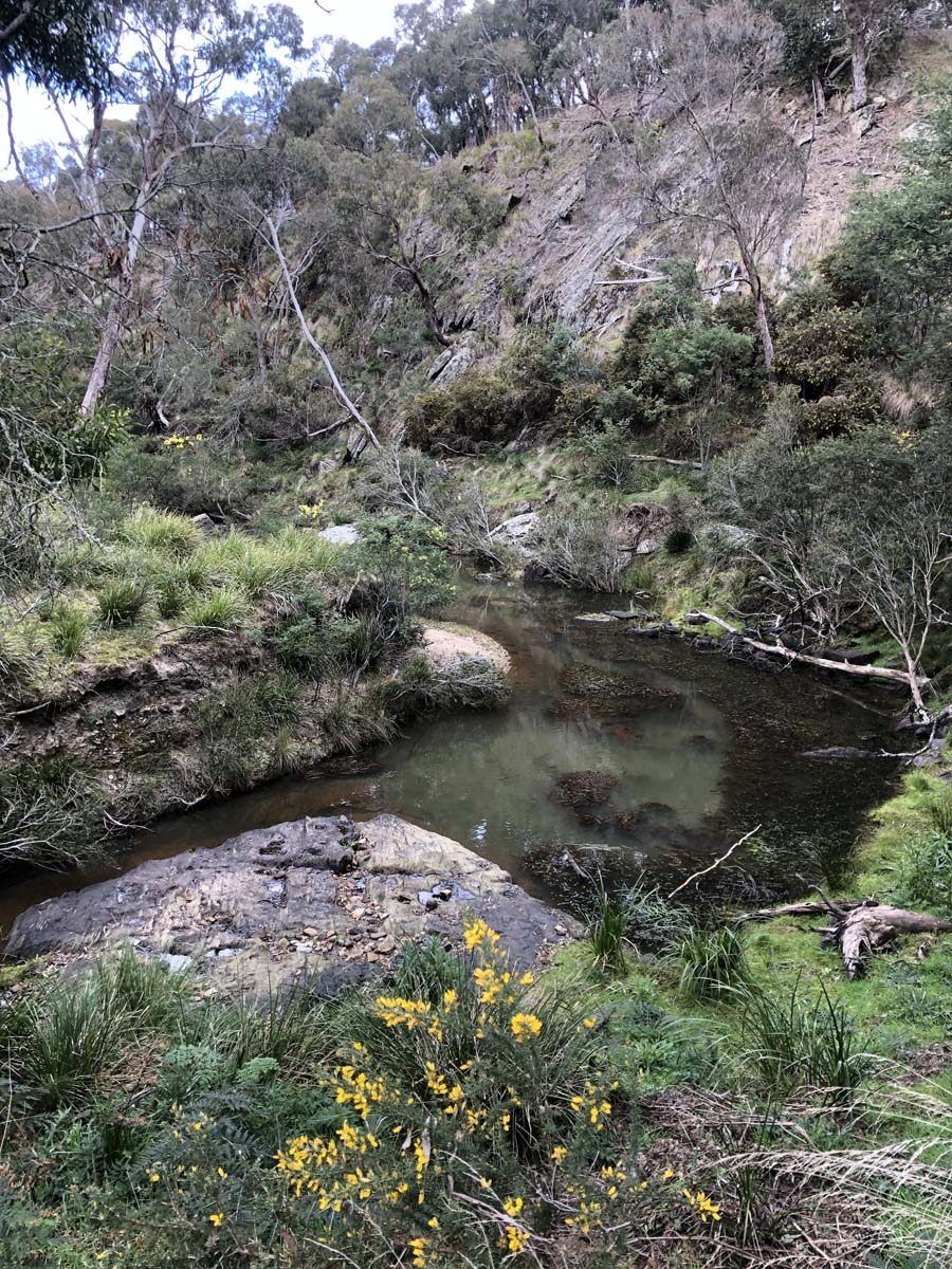 The little forest circuit hike 9