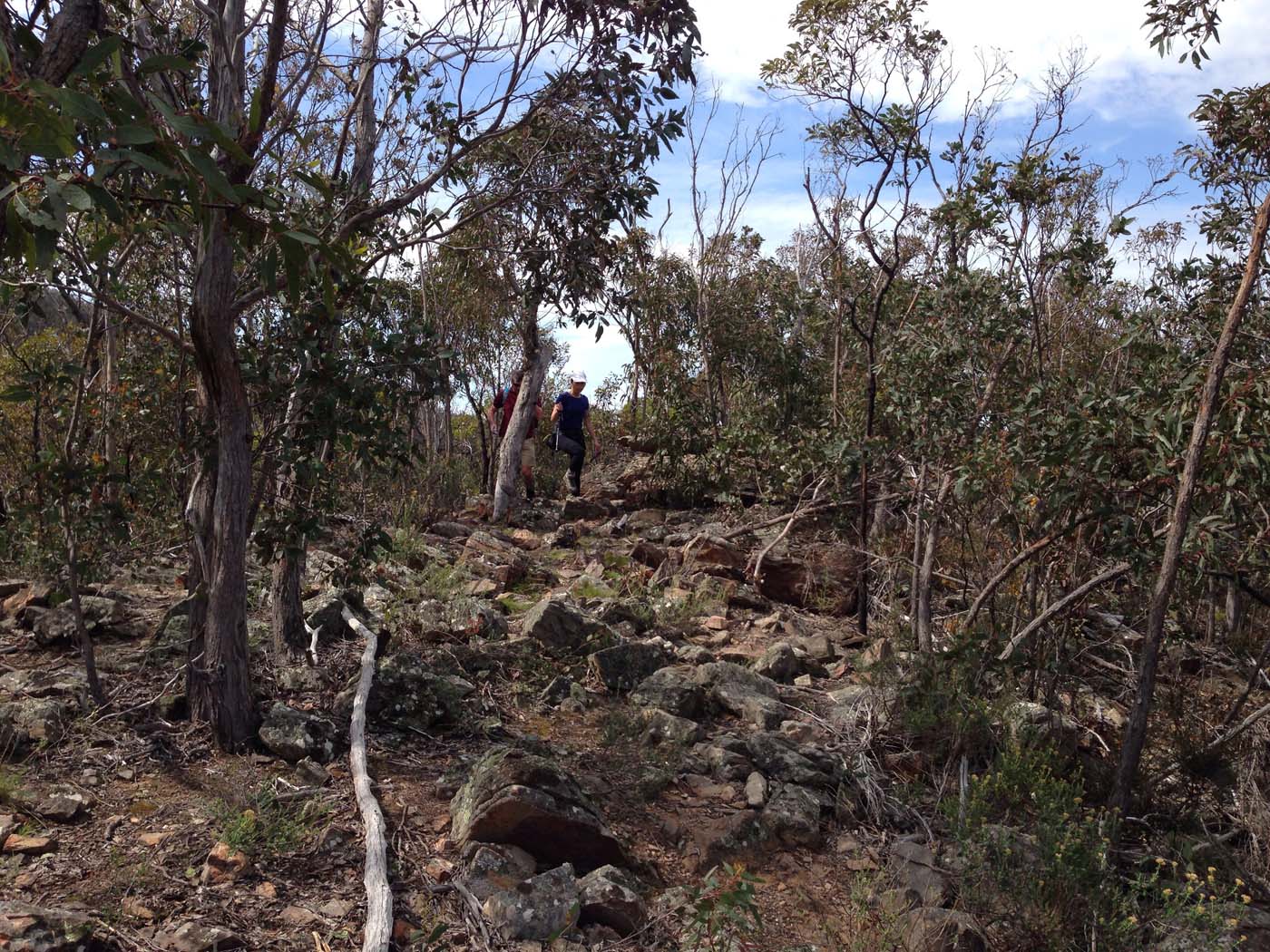 The scenic rim circuit lerderderg (10)