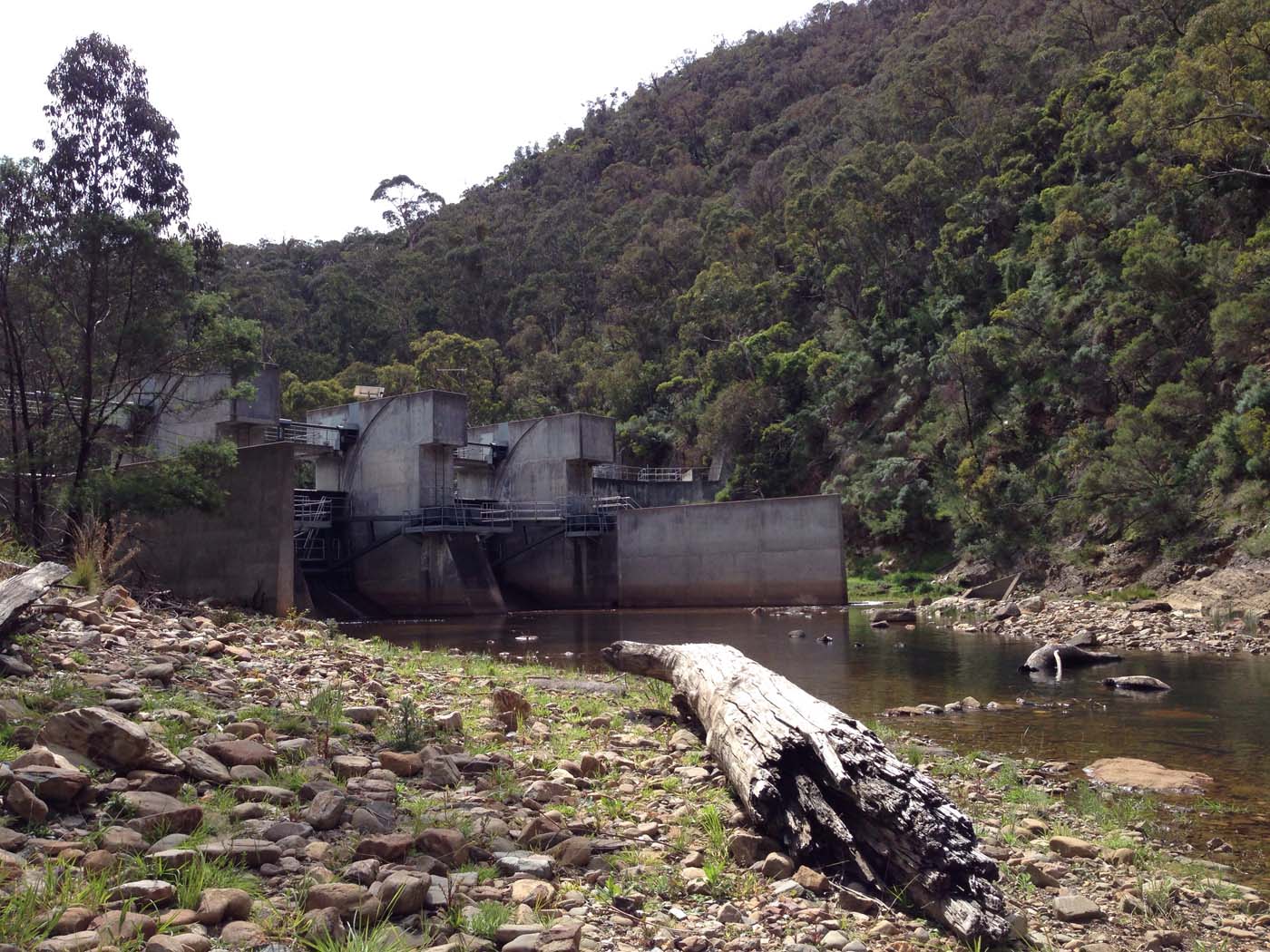 The scenic rim circuit lerderderg (18)