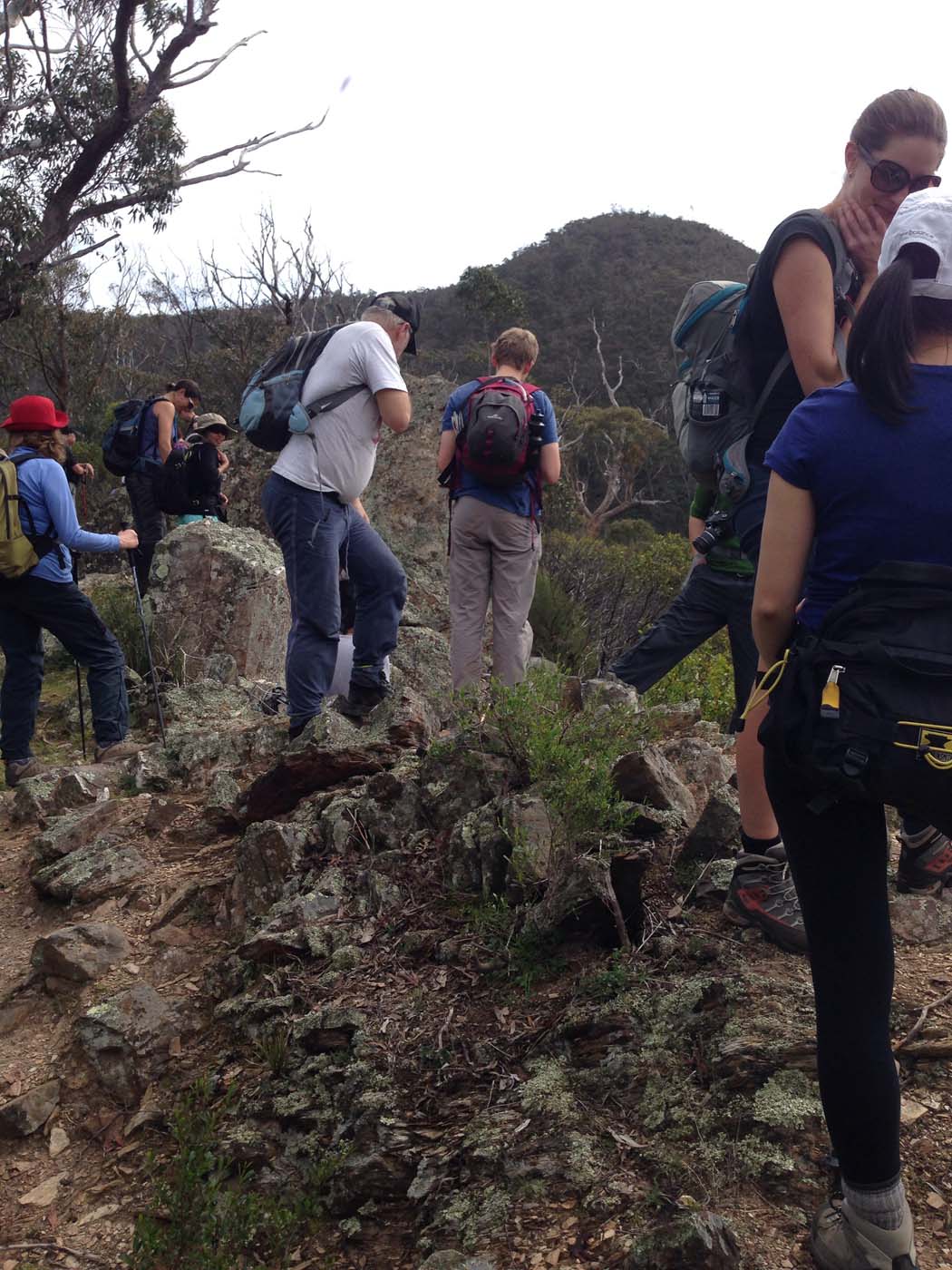 The scenic rim circuit lerderderg (23)