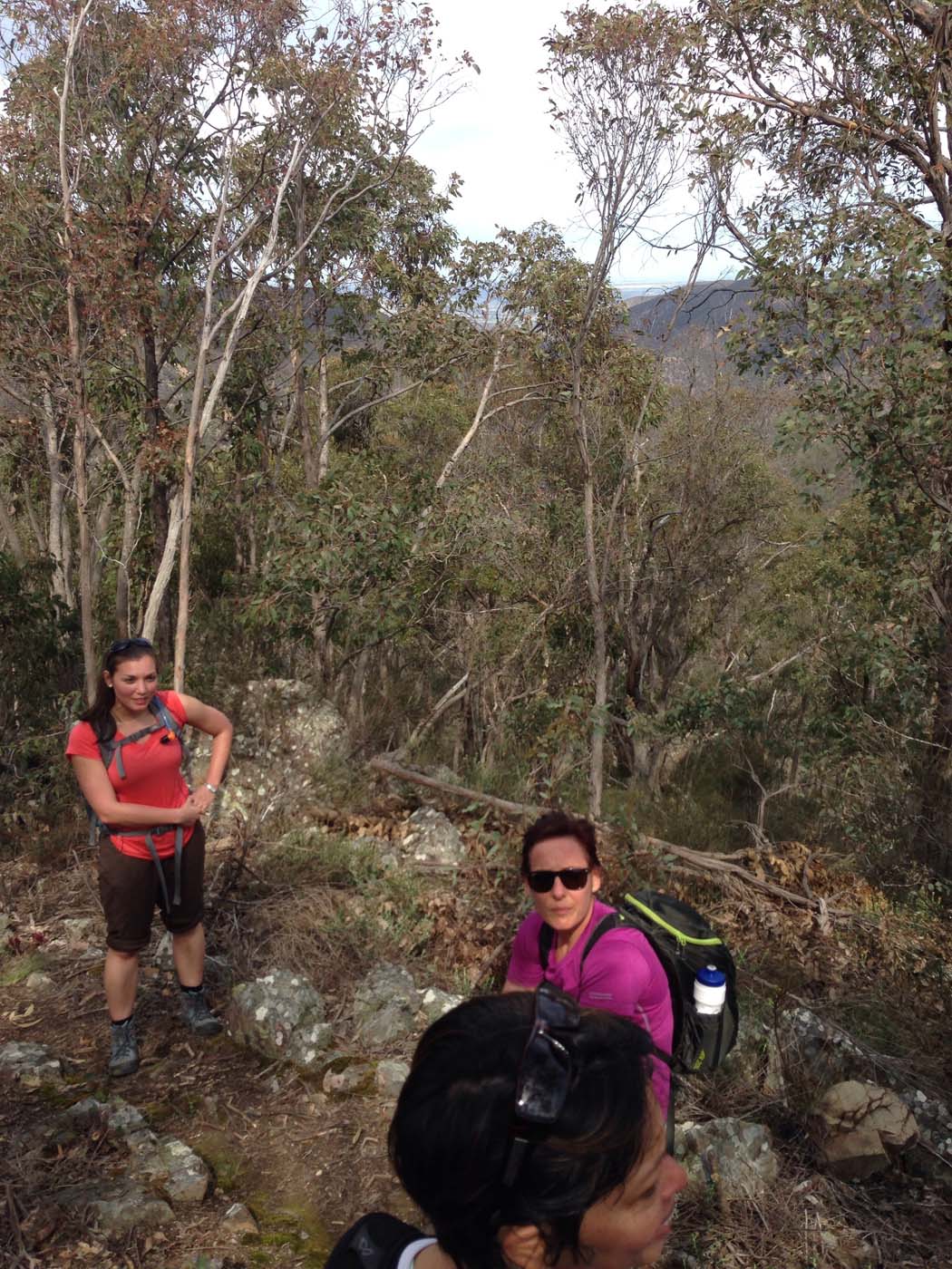 The scenic rim circuit lerderderg (25)