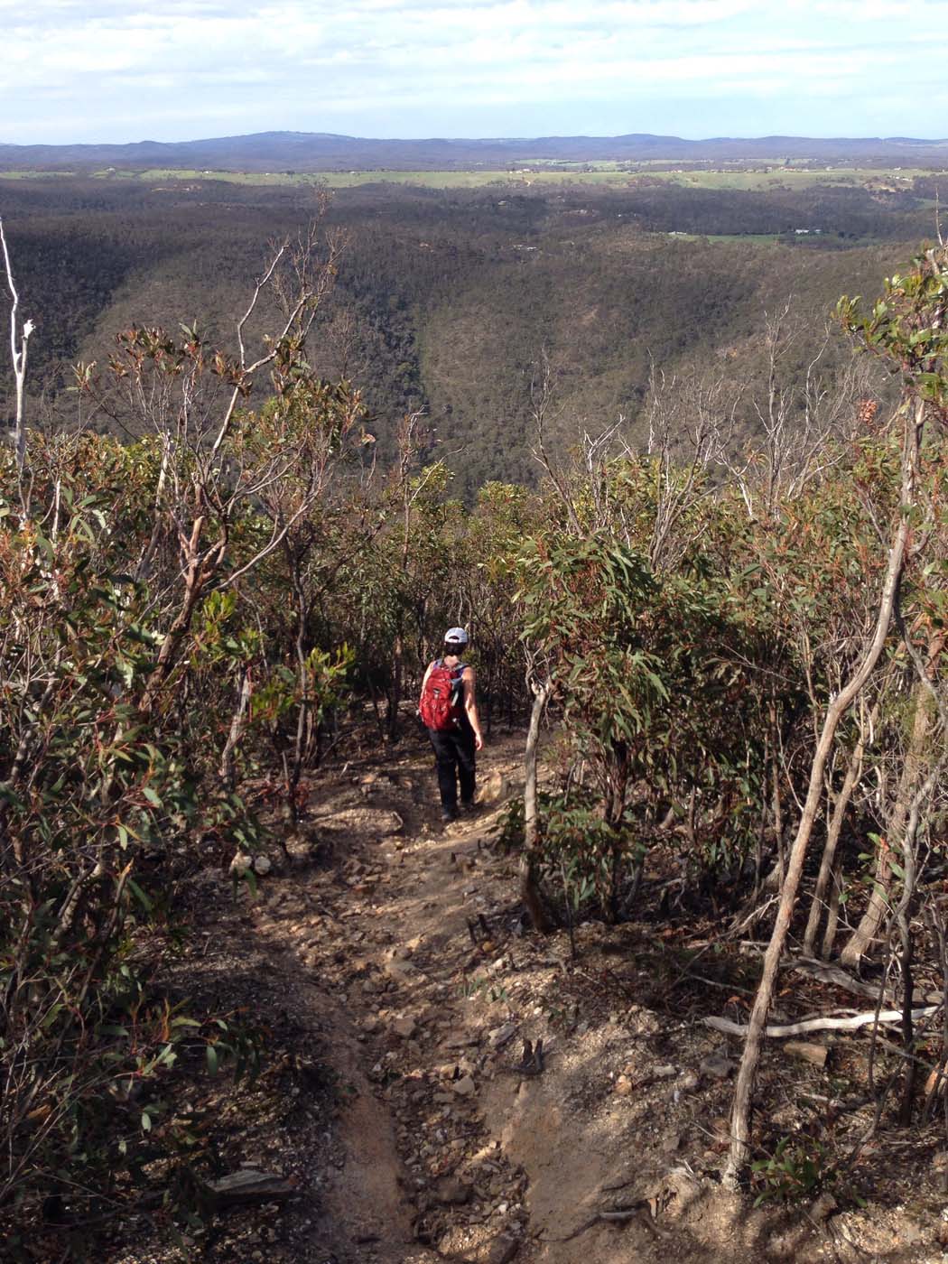 The scenic rim circuit lerderderg (28)