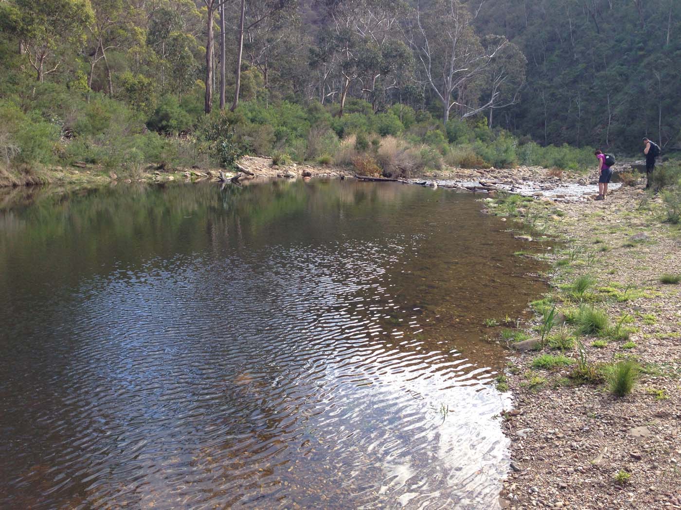 The scenic rim circuit lerderderg (31)