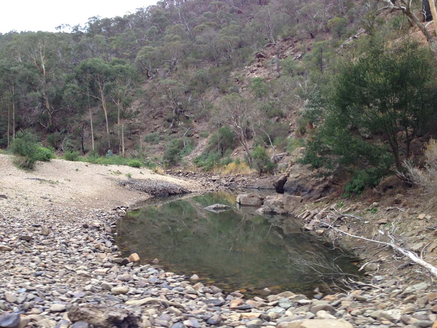 The scenic rim circuit lerderderg (33)