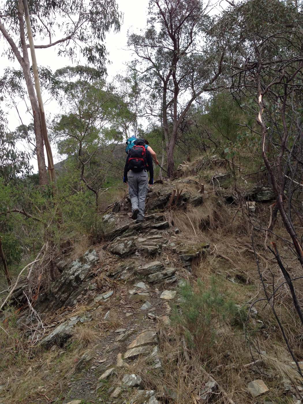The scenic rim circuit lerderderg (34)