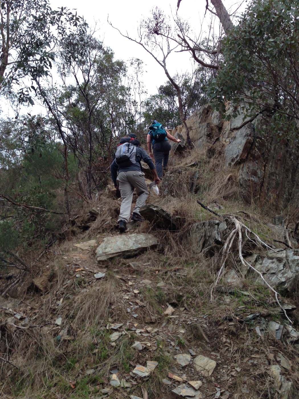 The scenic rim circuit lerderderg (35)