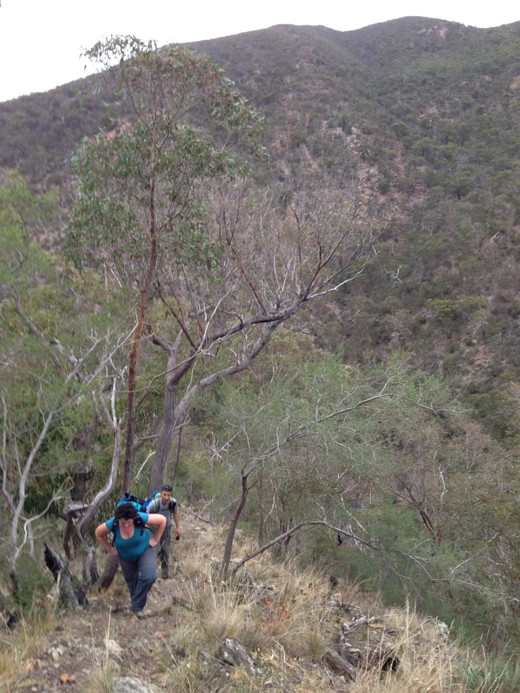 The scenic rim circuit lerderderg (36)
