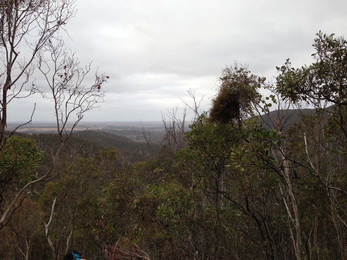 The scenic rim circuit lerderderg (37)