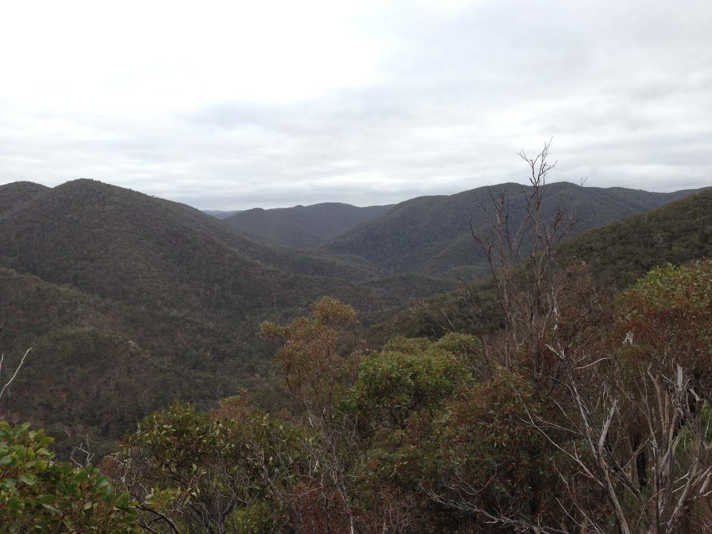 The scenic rim circuit lerderderg (39)