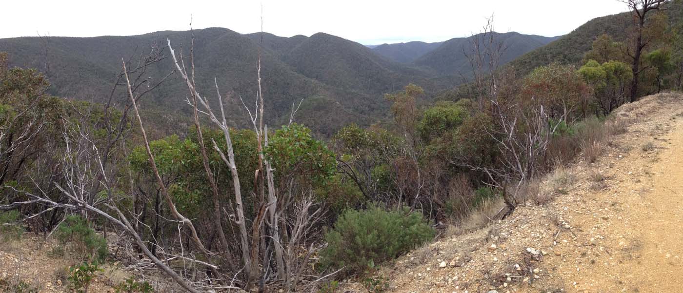 The scenic rim circuit lerderderg (40)