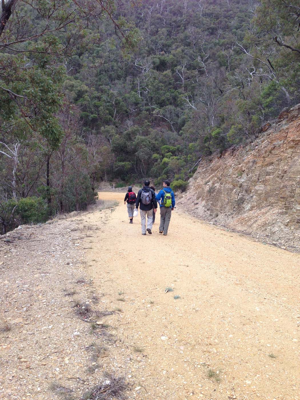 The scenic rim circuit lerderderg (42)