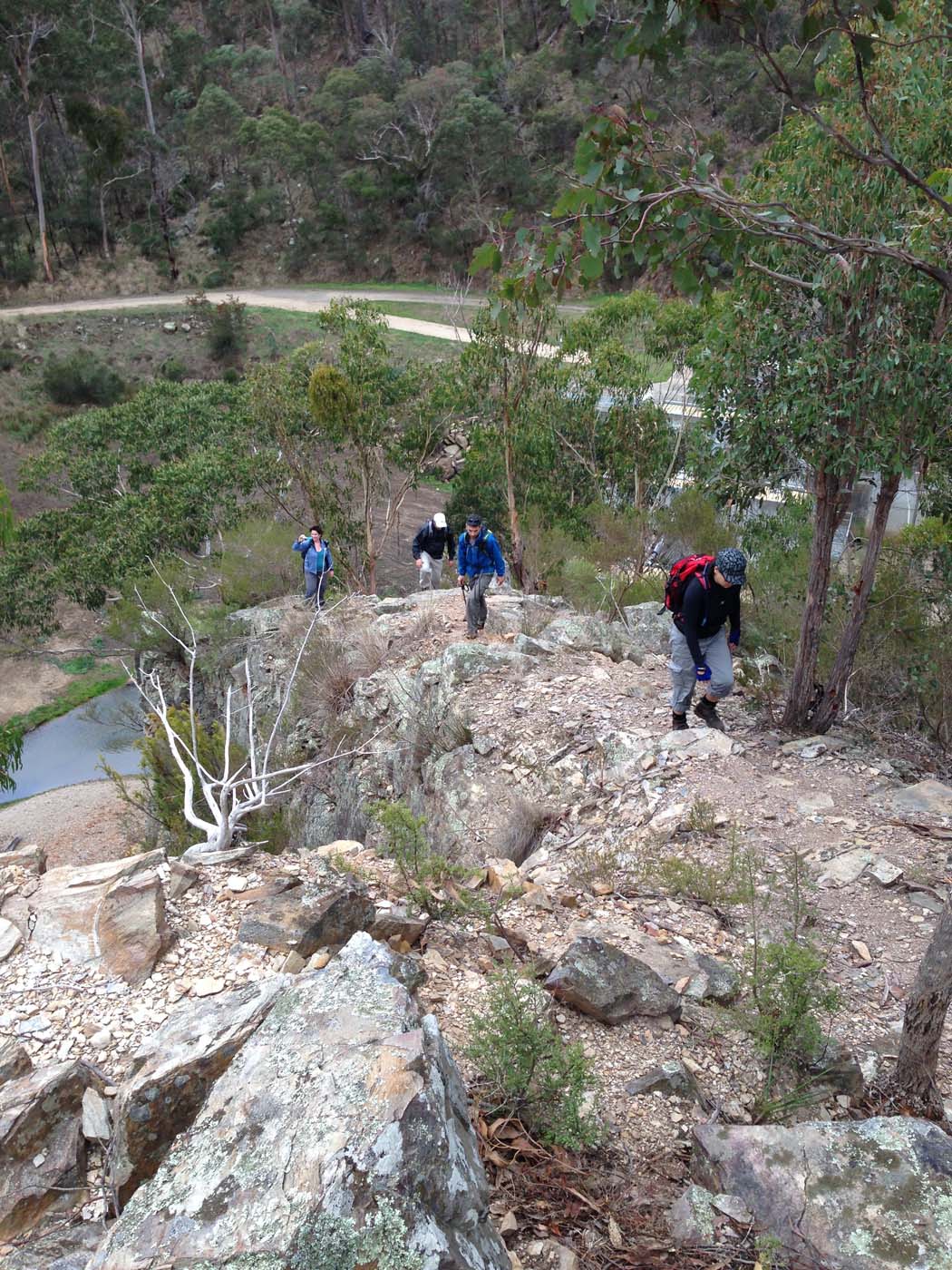 The scenic rim circuit lerderderg (48)