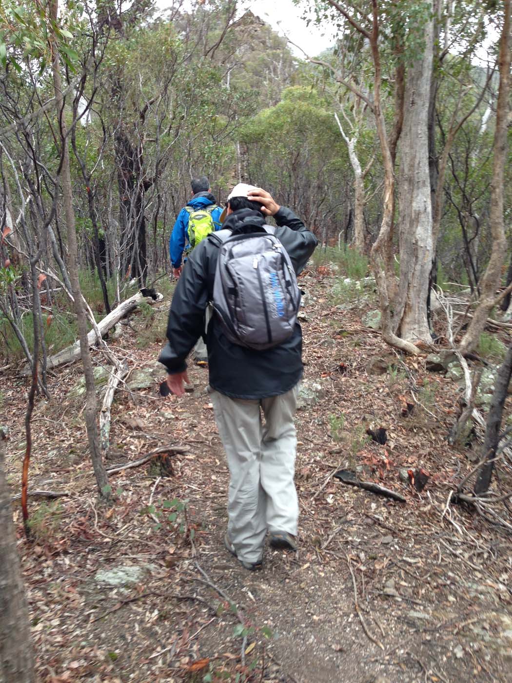 The scenic rim circuit lerderderg (49)