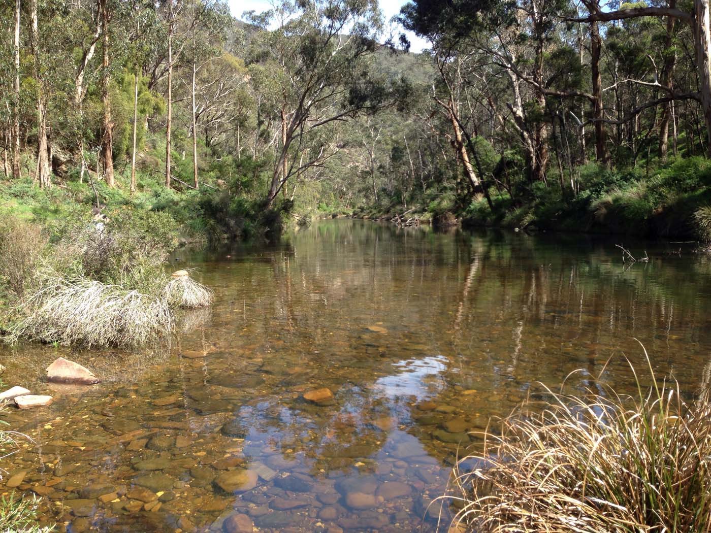 The scenic rim circuit lerderderg (5)