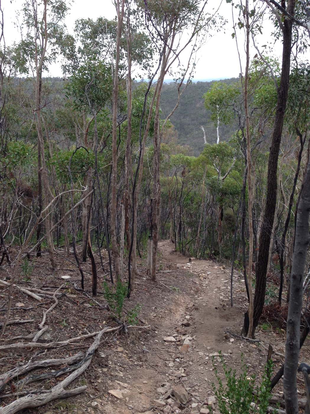 The scenic rim circuit lerderderg (56)