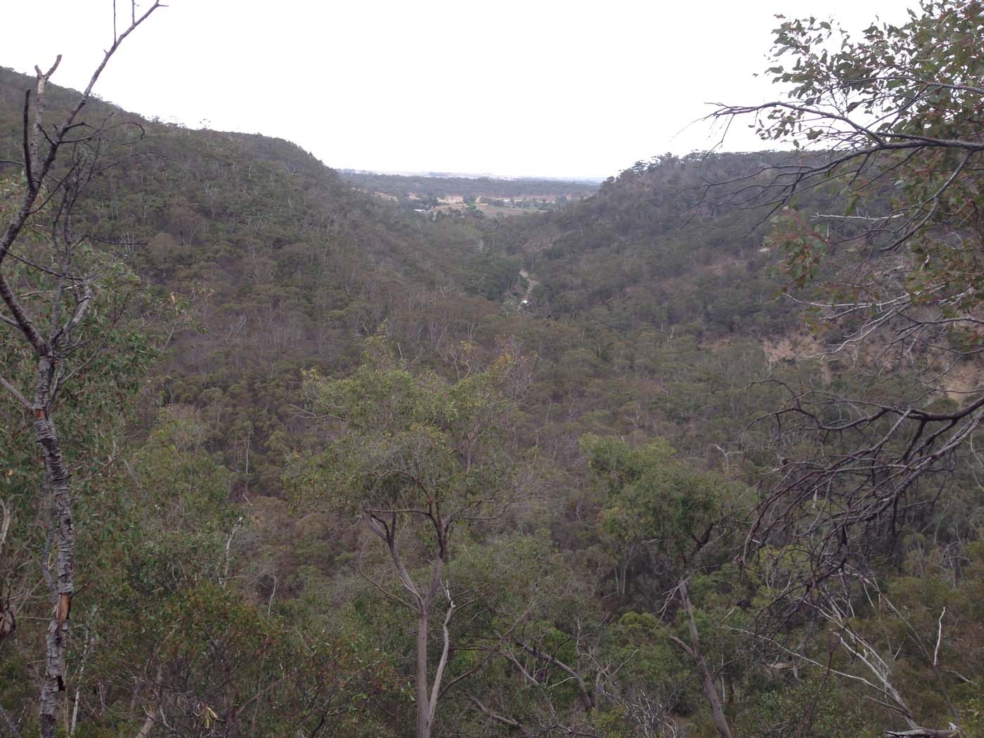 The scenic rim circuit lerderderg (57)