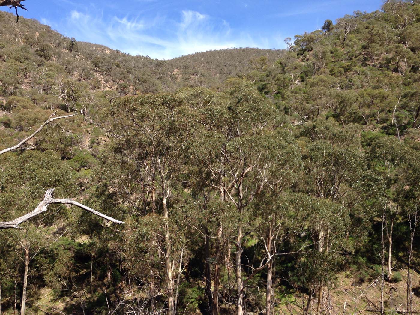 The scenic rim circuit lerderderg (8)