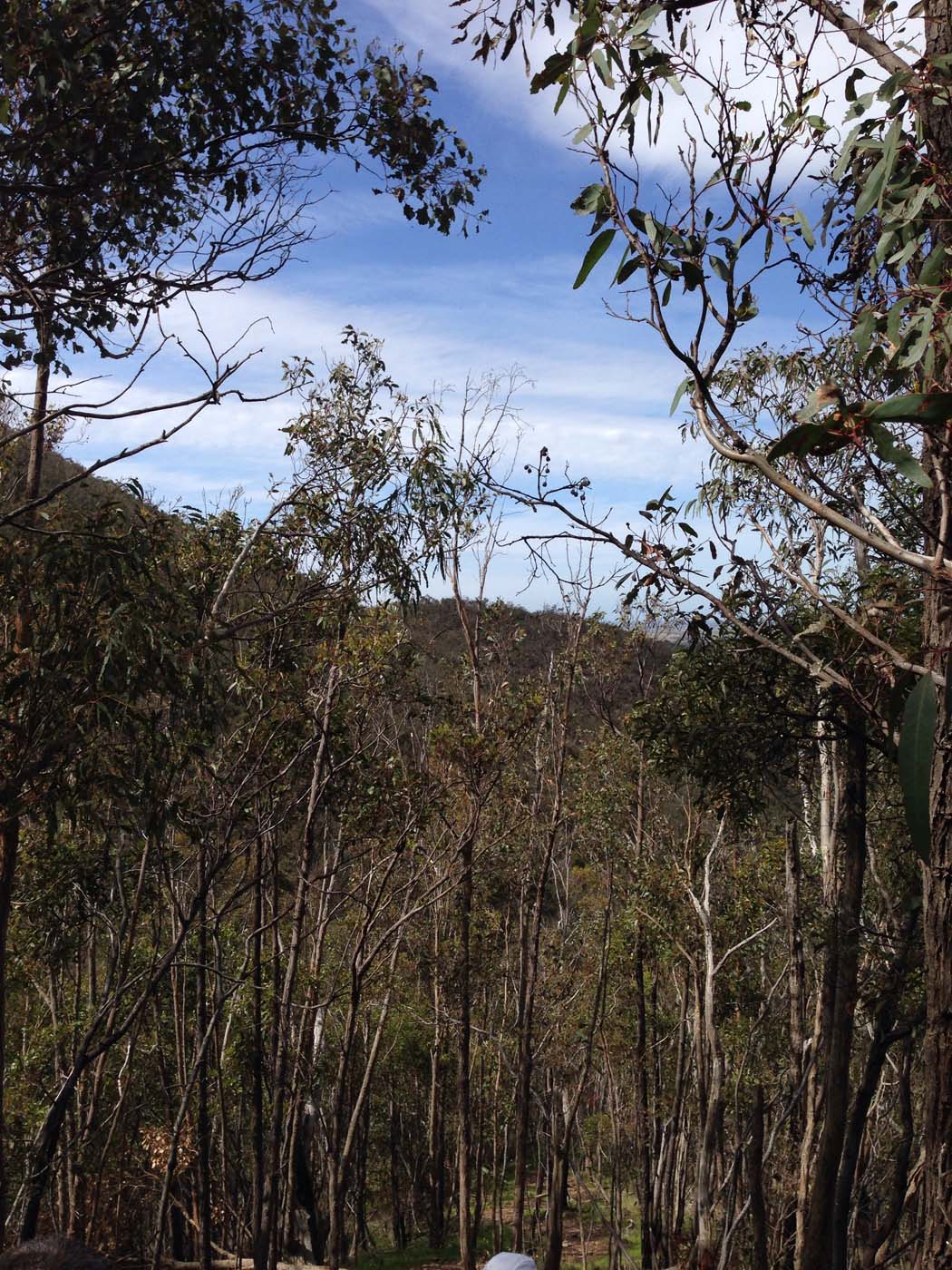 The scenic rim circuit lerderderg (9)