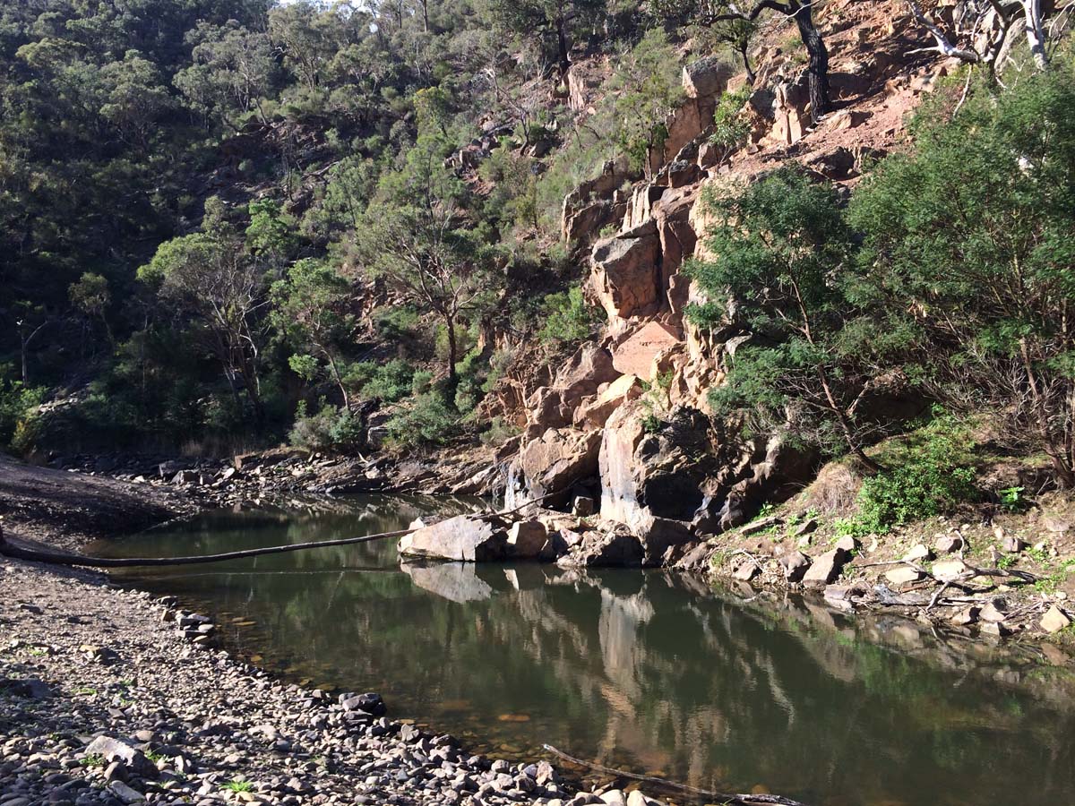 The scenic rim link 2 hike 1