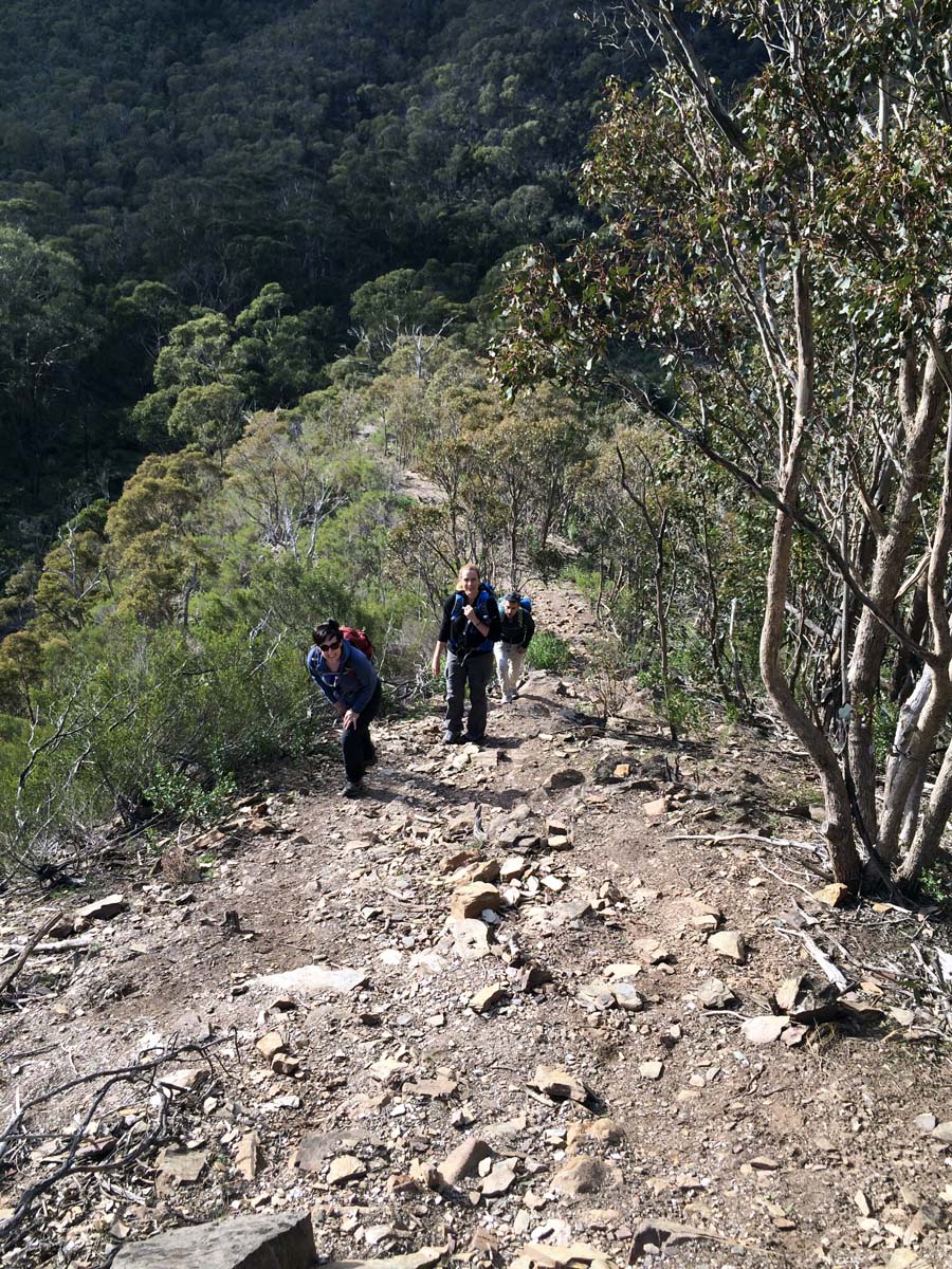 The scenic rim link 2 hike 4