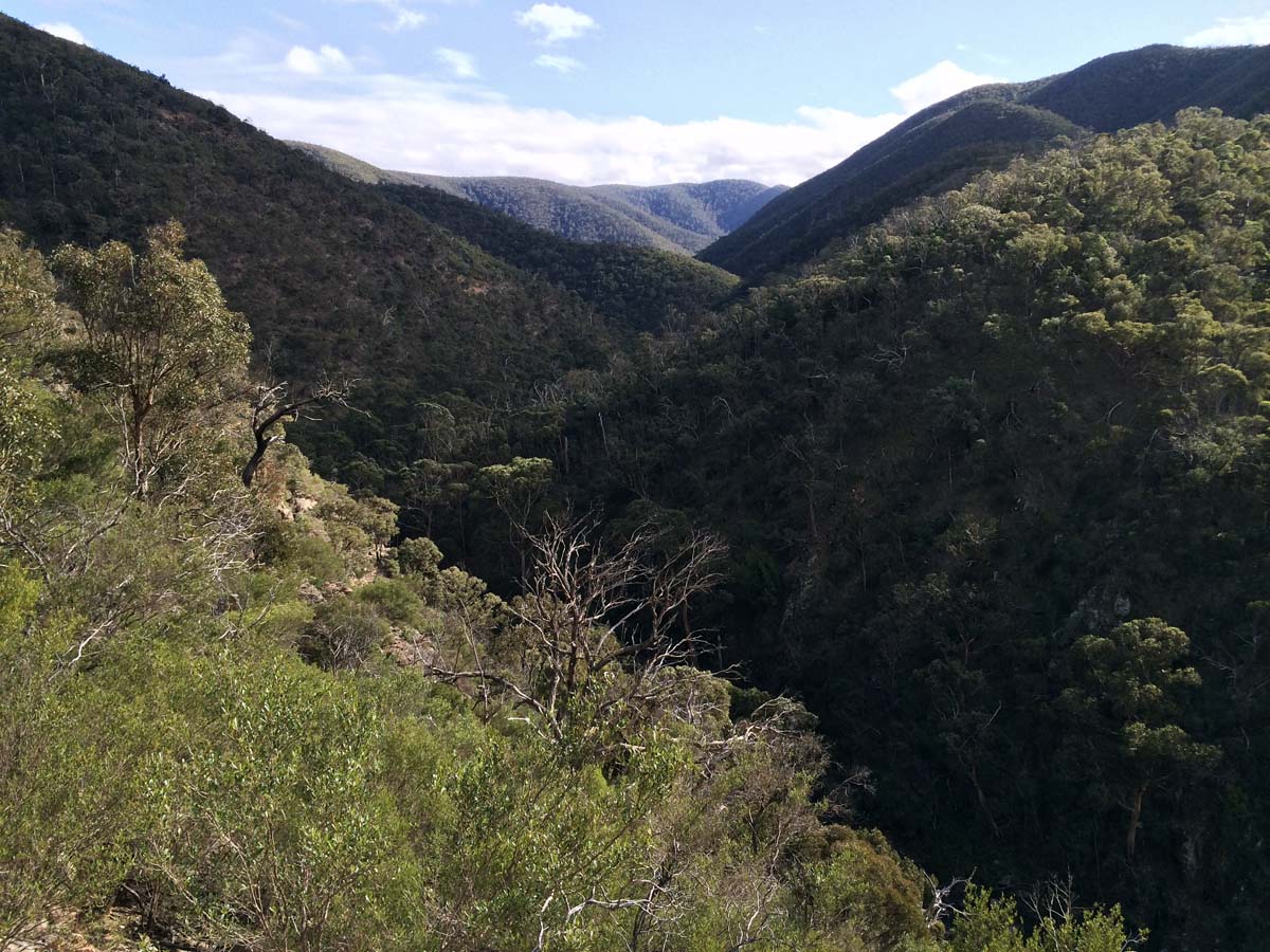 The scenic rim link 2 hike 5