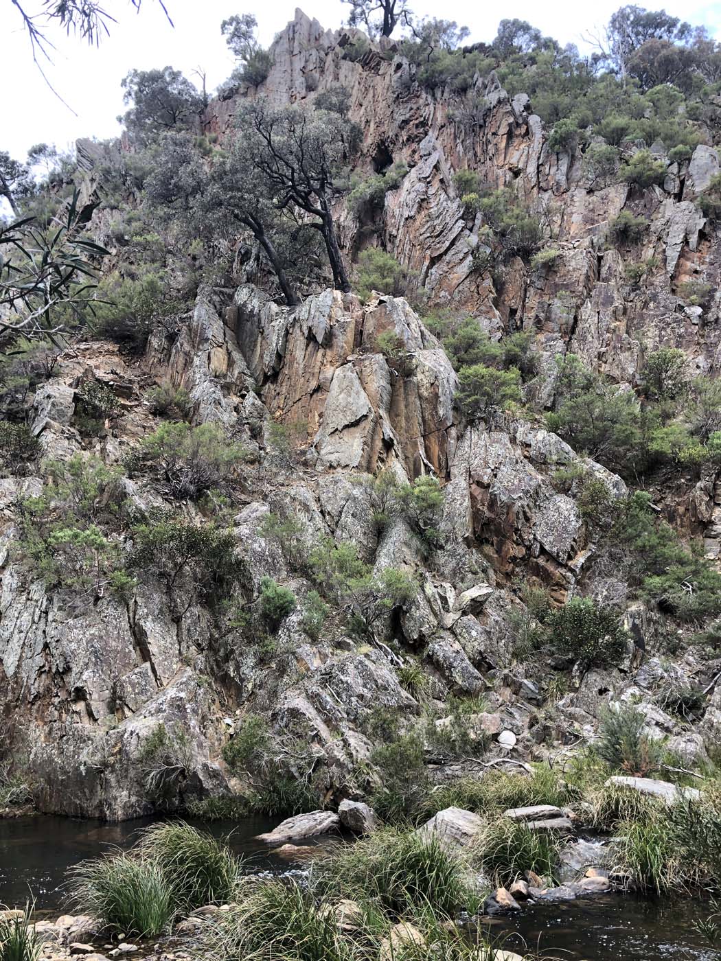 The scenic rim river link 1 hike (10)