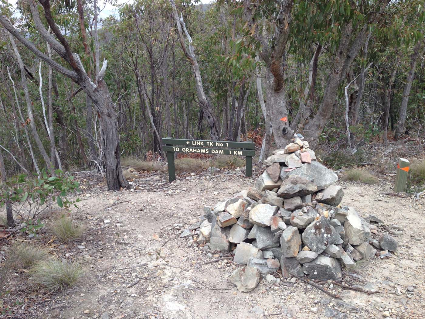 The scenic rim river link 1 hike (11)