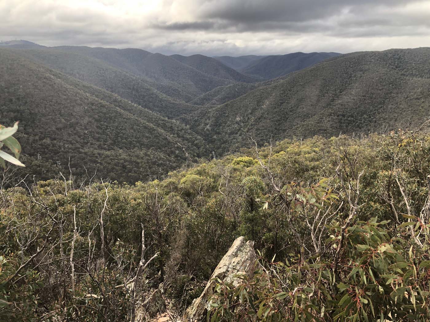 The scenic rim river link 1 hike (13)