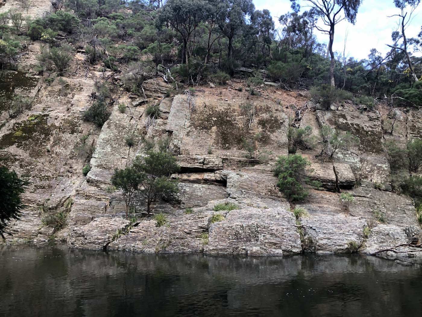The scenic rim river link 1 hike (14)