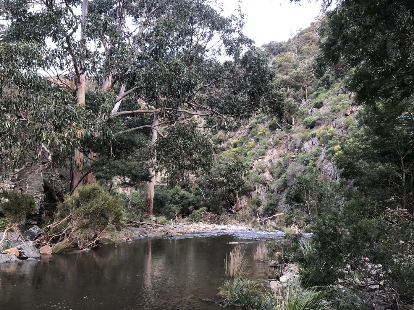 The scenic rim river link 1 hike (15)