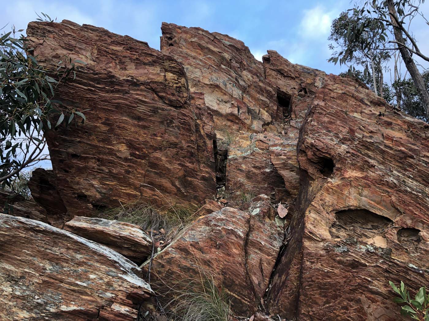 The scenic rim river link 1 hike (19)