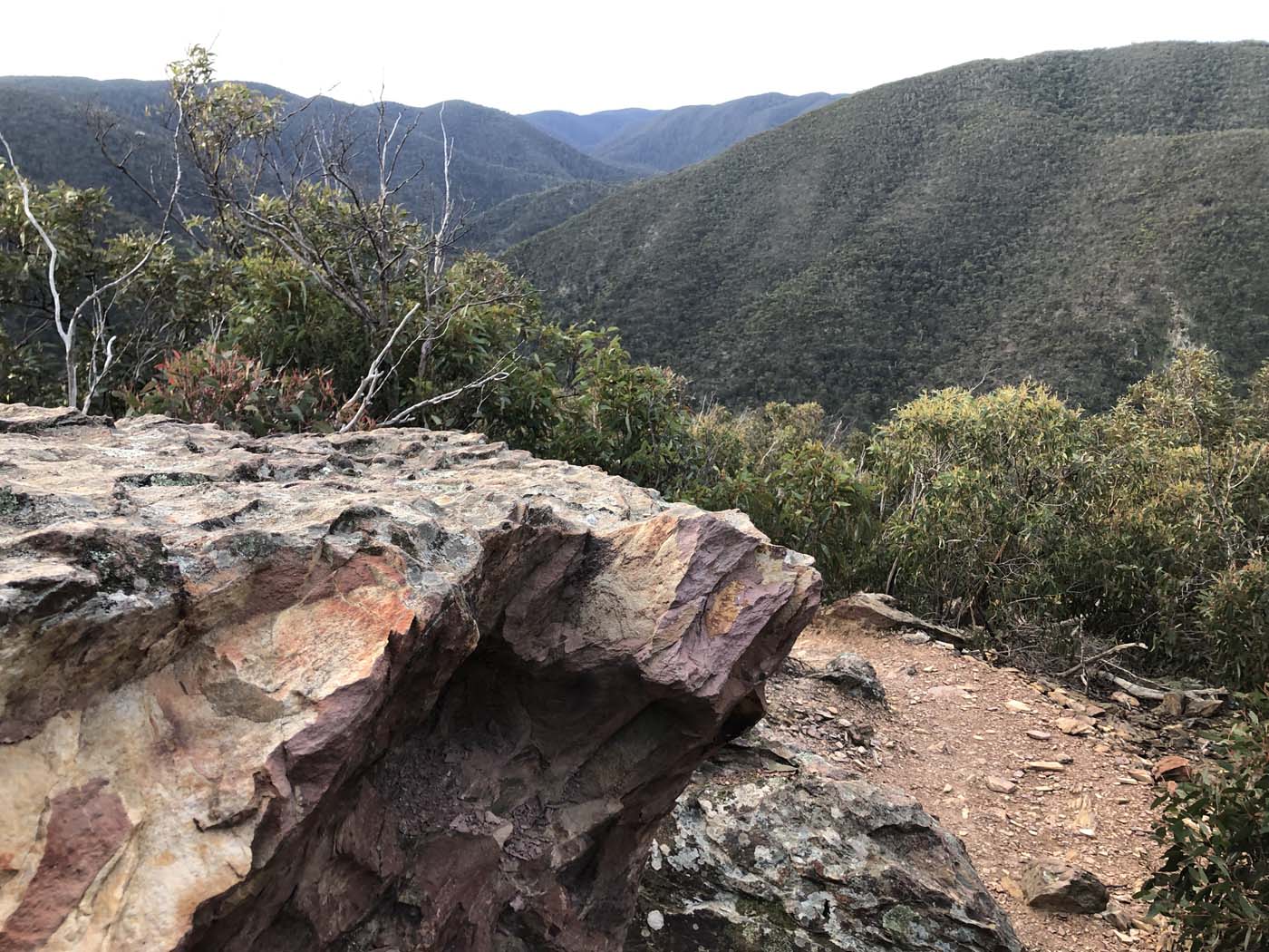 The scenic rim river link 1 hike (20)