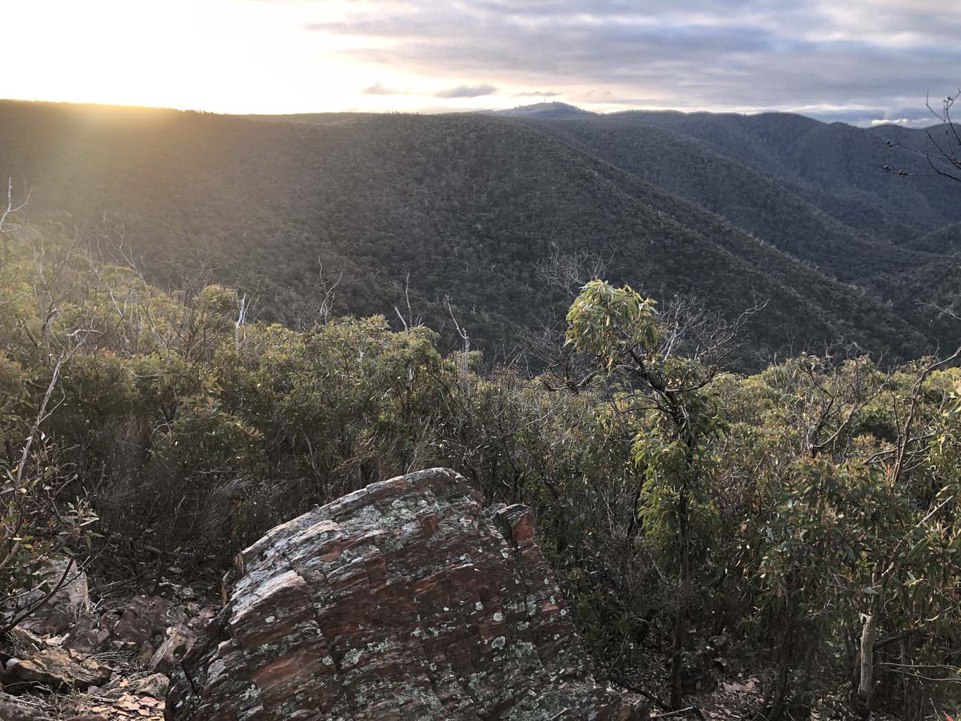 The scenic rim river link 1 hike (21)