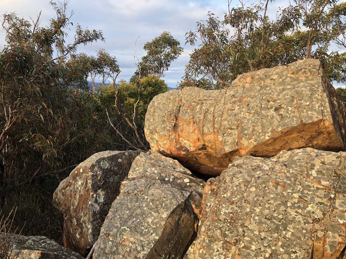 The scenic rim river link 1 hike (22)