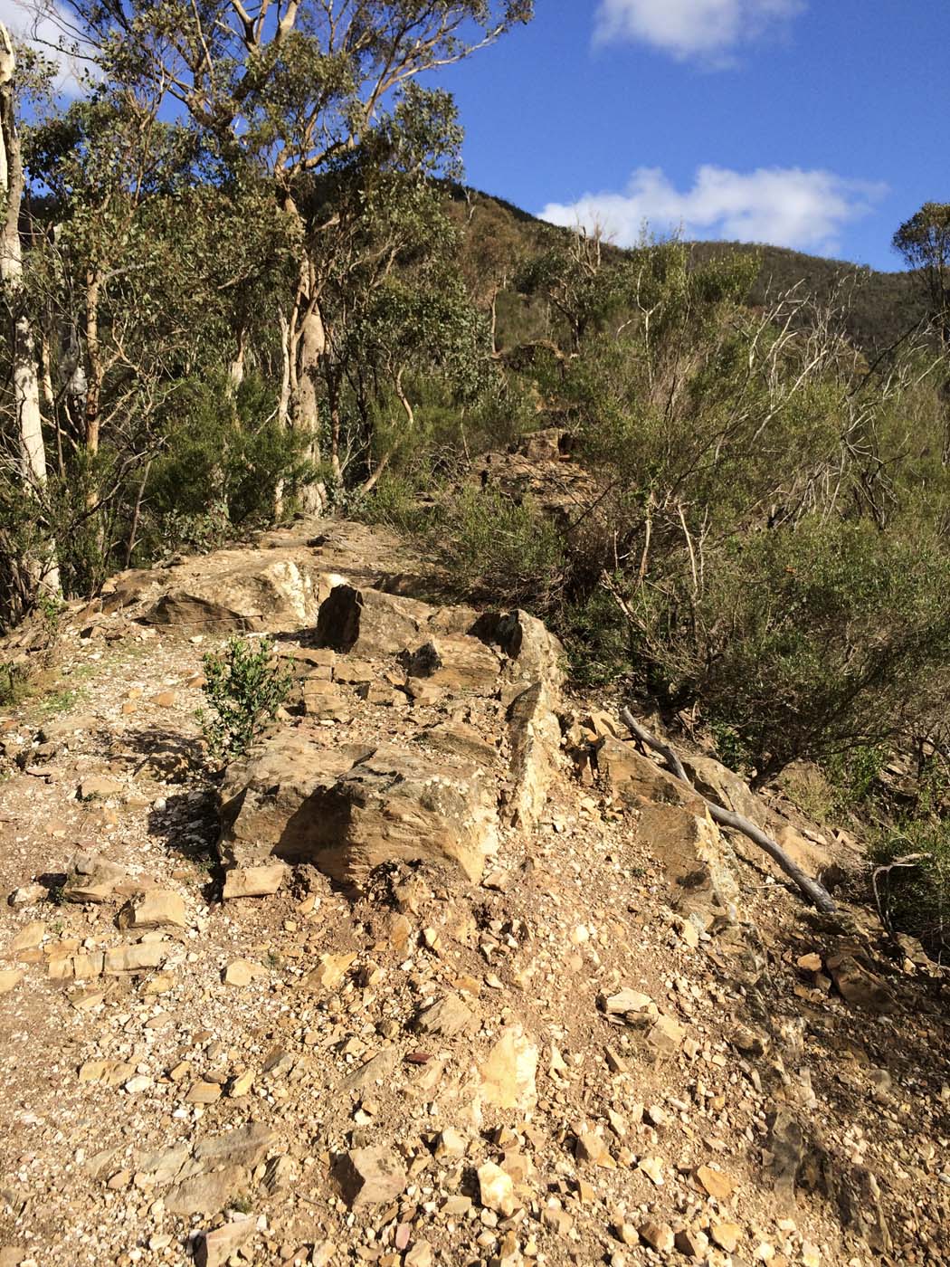 The scenic rim river link 1 hike (23)