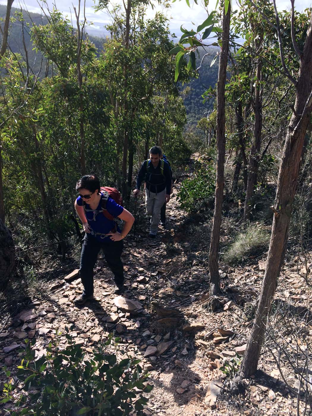 The scenic rim river link 1 hike (25)