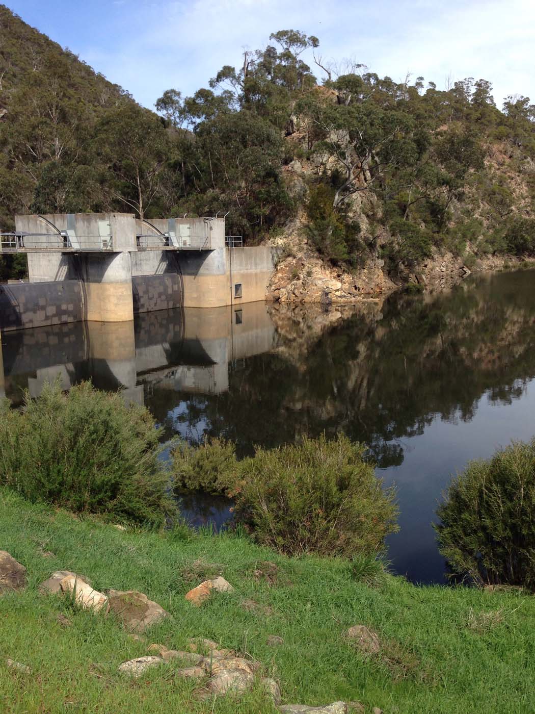 The scenic rim river link 1 hike (27)