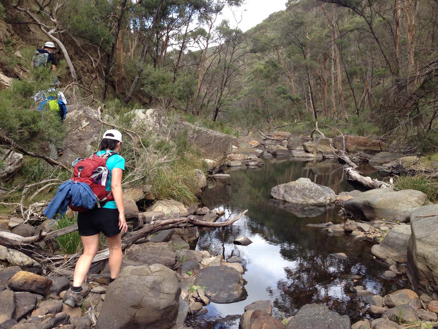 The scenic rim river link 1 hike (5)