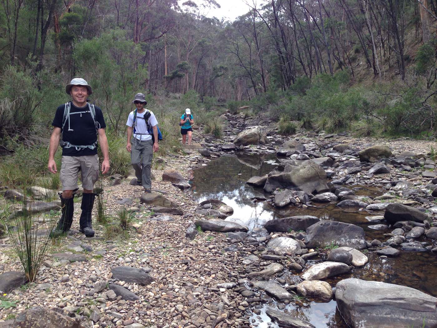 The scenic rim river link 1 hike (6)