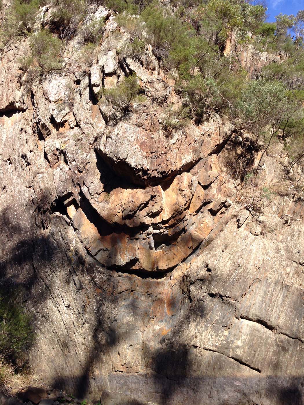 The scenic rim river link 1 hike (7)