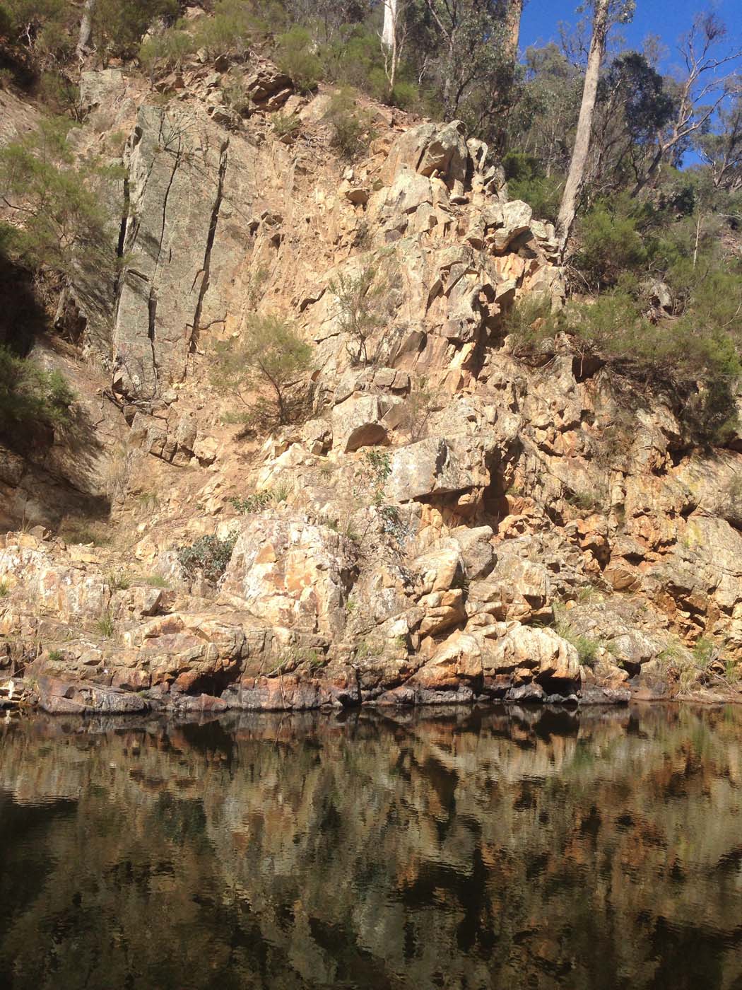 The scenic rim river link 1 hike (8)