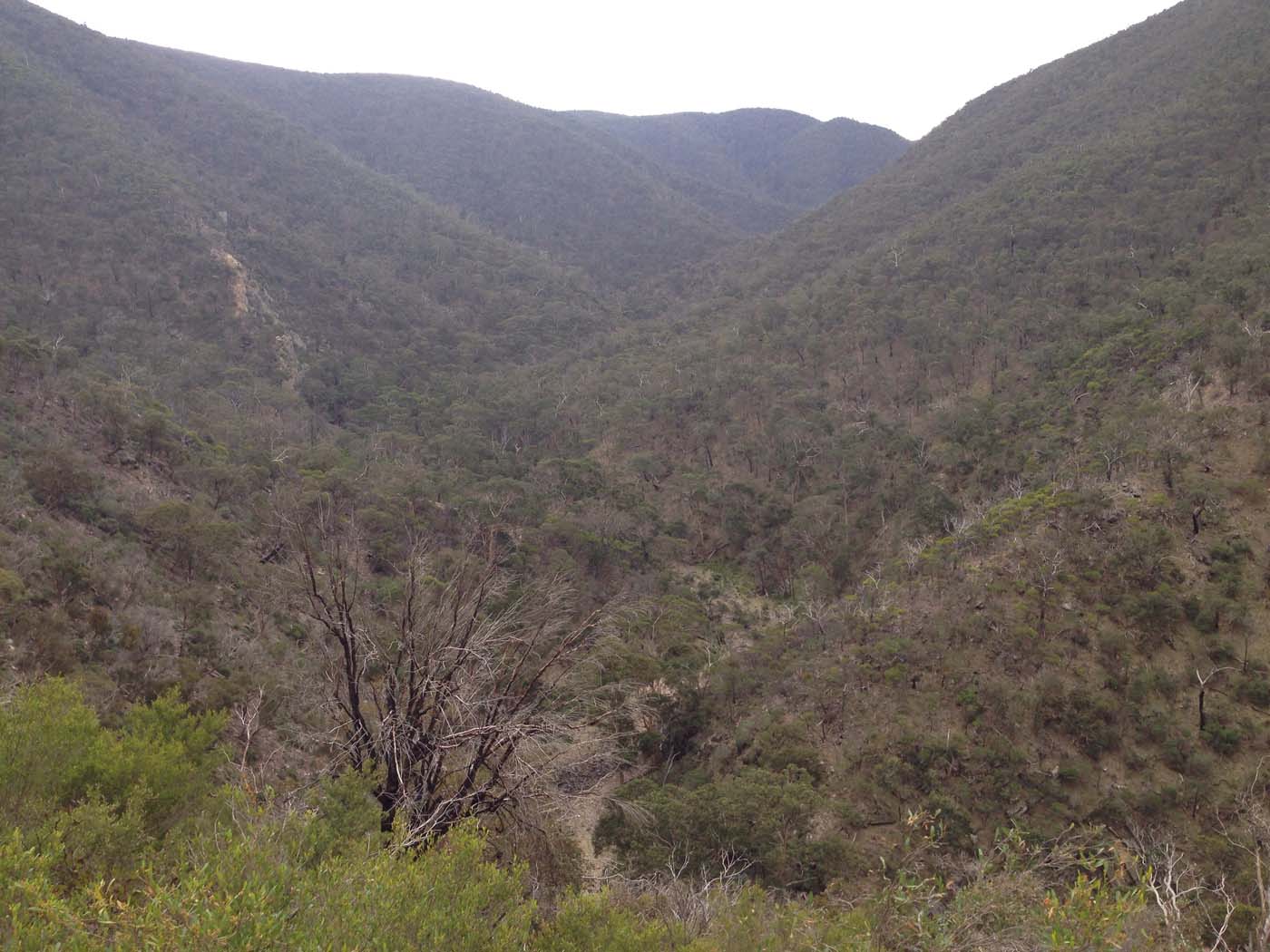 The scenic rim river & link 2 (21)