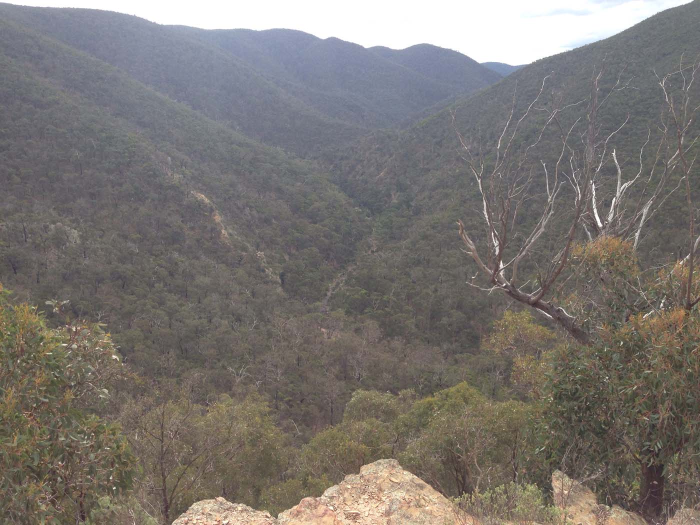 The scenic rim river & link 2 (22)