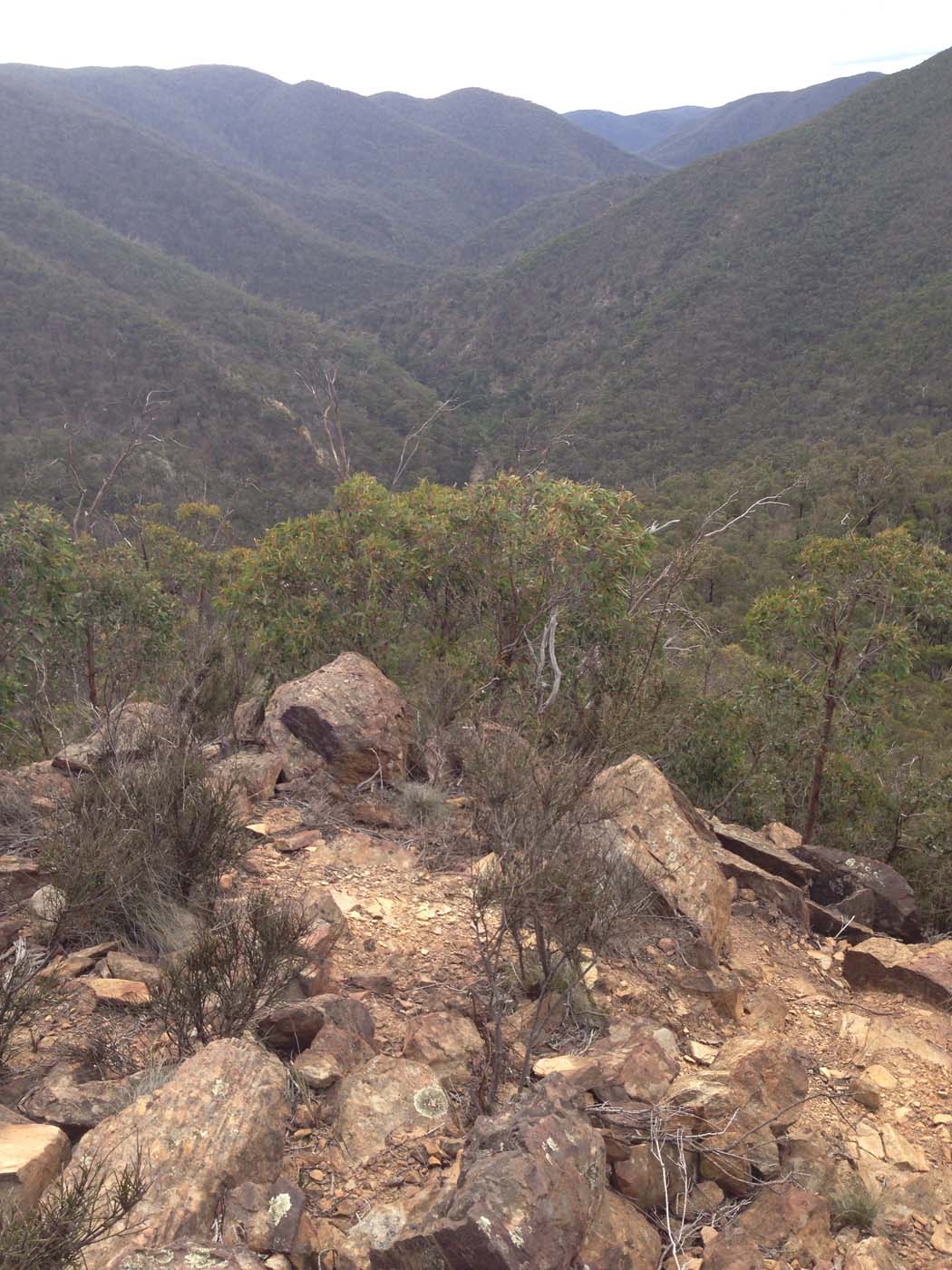 The scenic rim river & link 2 (23)