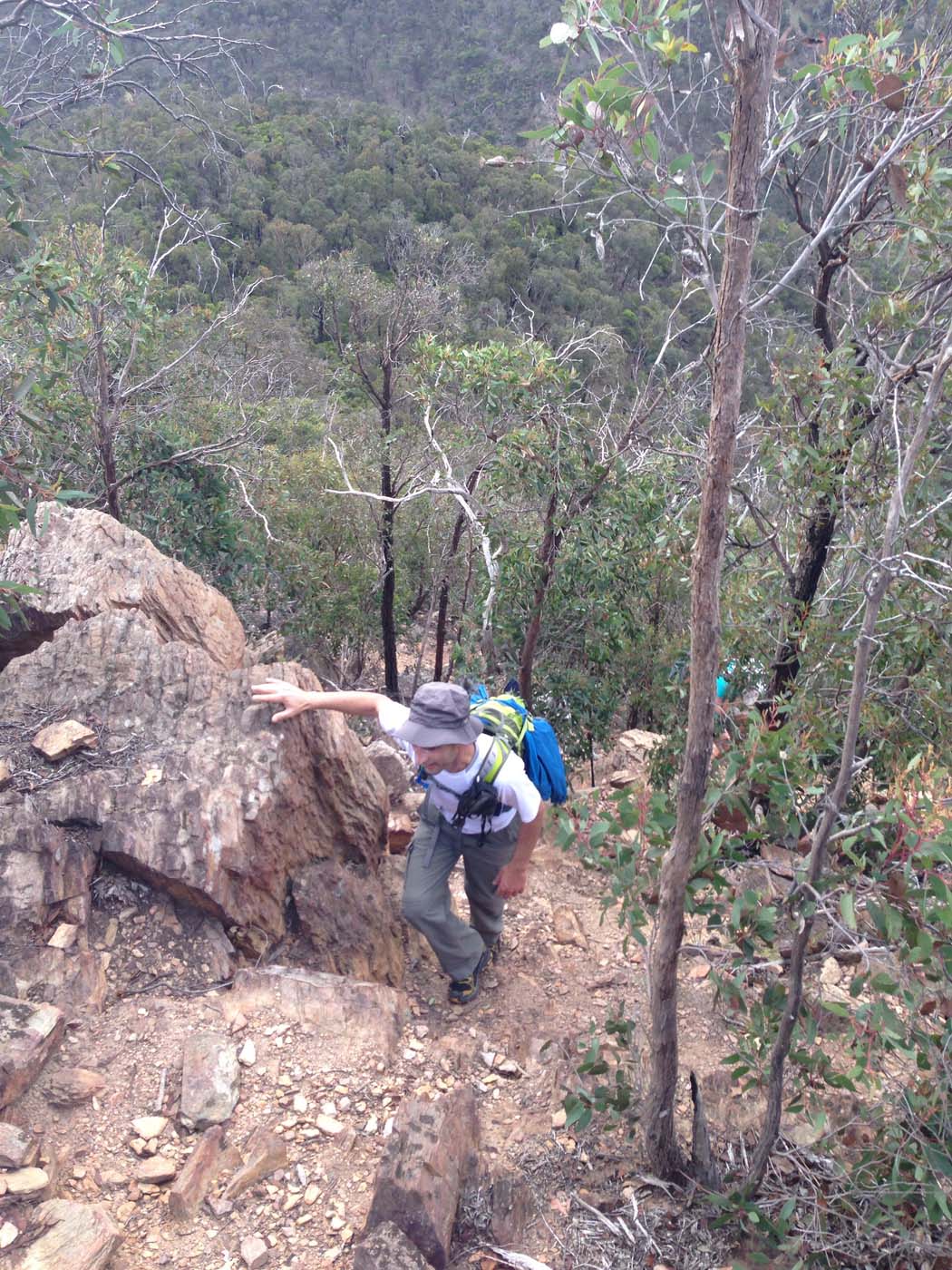 The scenic rim river & link 2 (24)