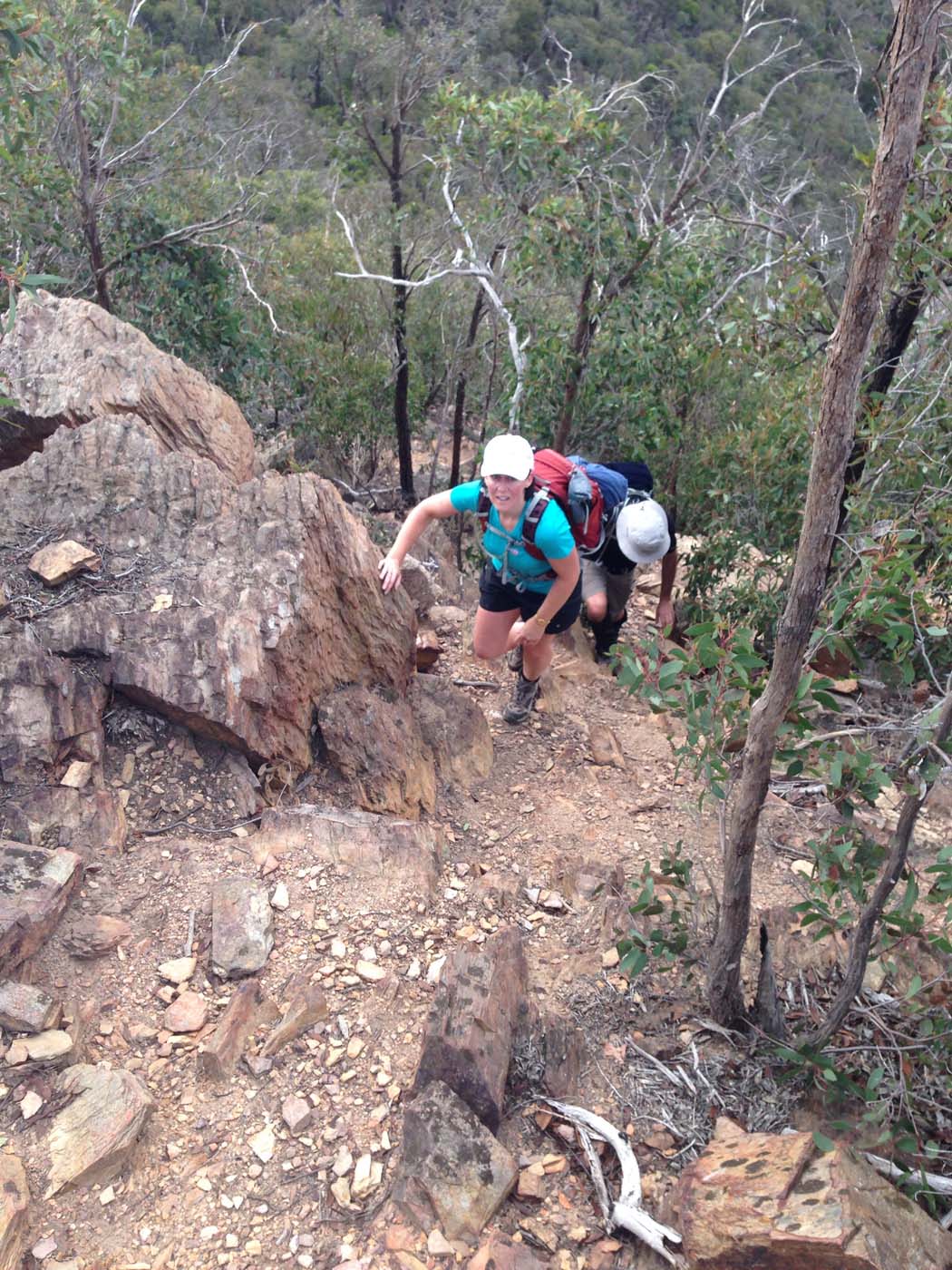 The scenic rim river & link 2 (25)