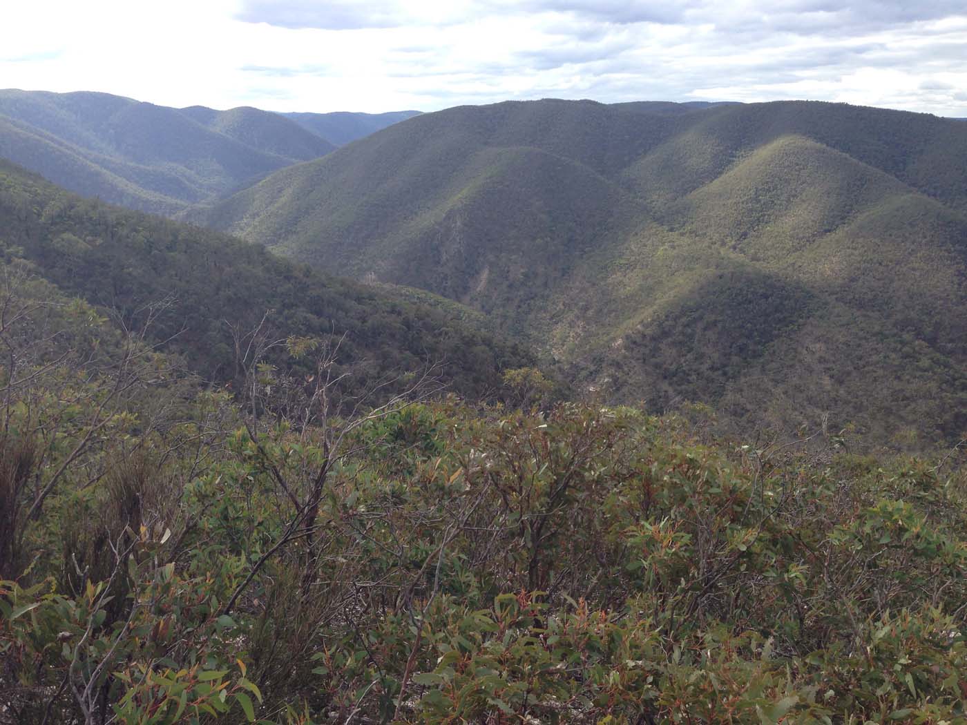 The scenic rim river & link 2 (26)