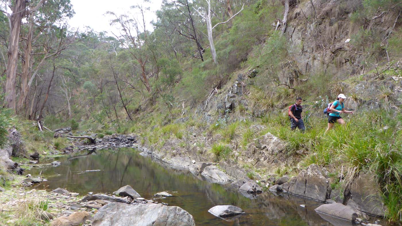 The scenic rim river & link 2 (28)