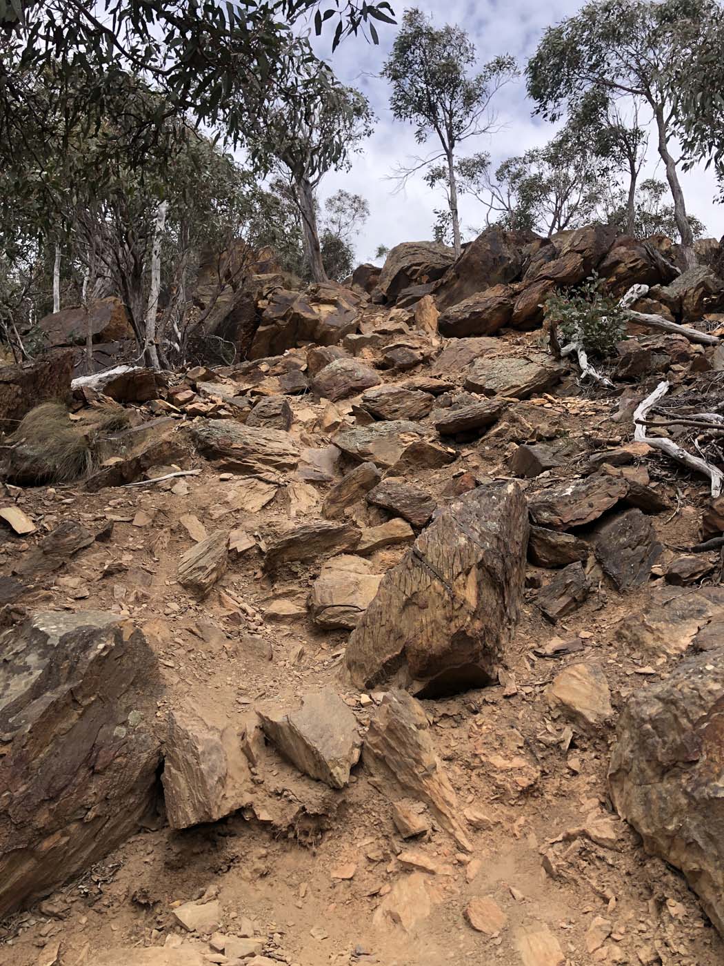 The scenic rim river & link 2 (31)